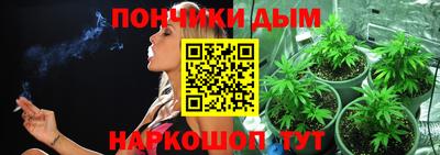 ГАЛЛЮЦИНОГЕННЫЕ ГРИБЫ Ковров