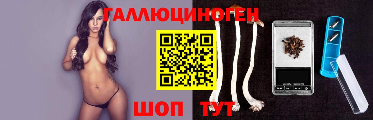 Псилоцибиновые грибы MAGIC MUSHROOMS Выборг